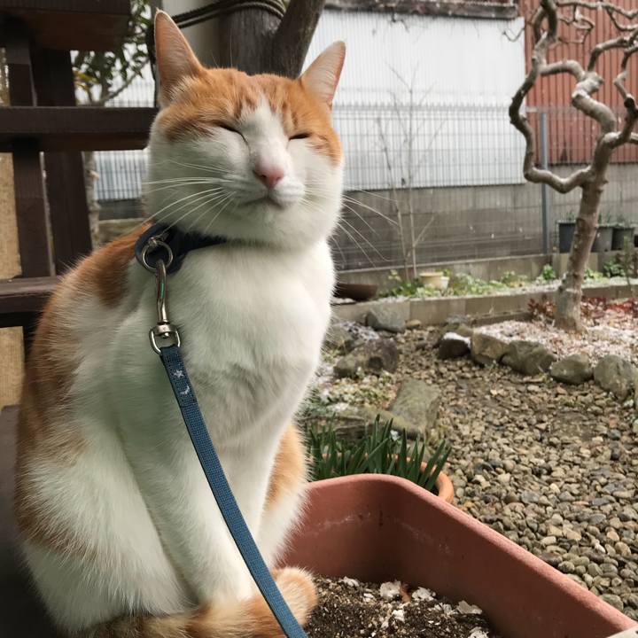 5967c2fb 9150 41f6 8d83 ed1f2fb79c76 1512777565485