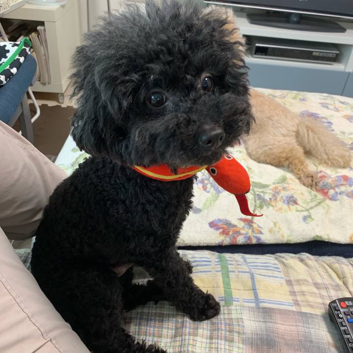 5967d96b 9720 4743 b0cd 5c28cd9baf1a 1563066419235