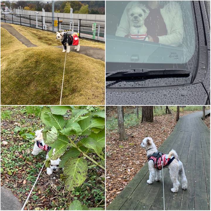 5967f9d6 78fb 4cee 993d 79f7acf34603 1574594171416