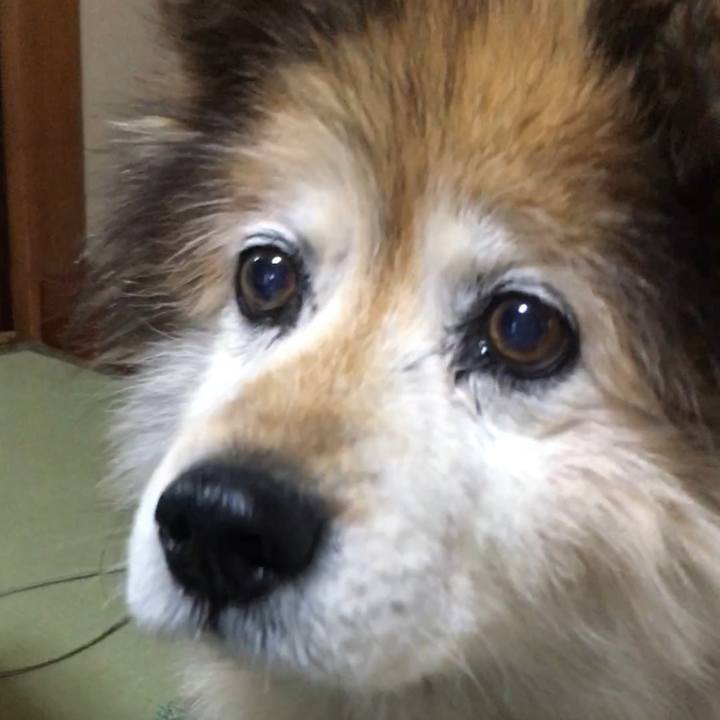 5967fcff 1251 444d bb34 5f338c7028ea 1606617041980