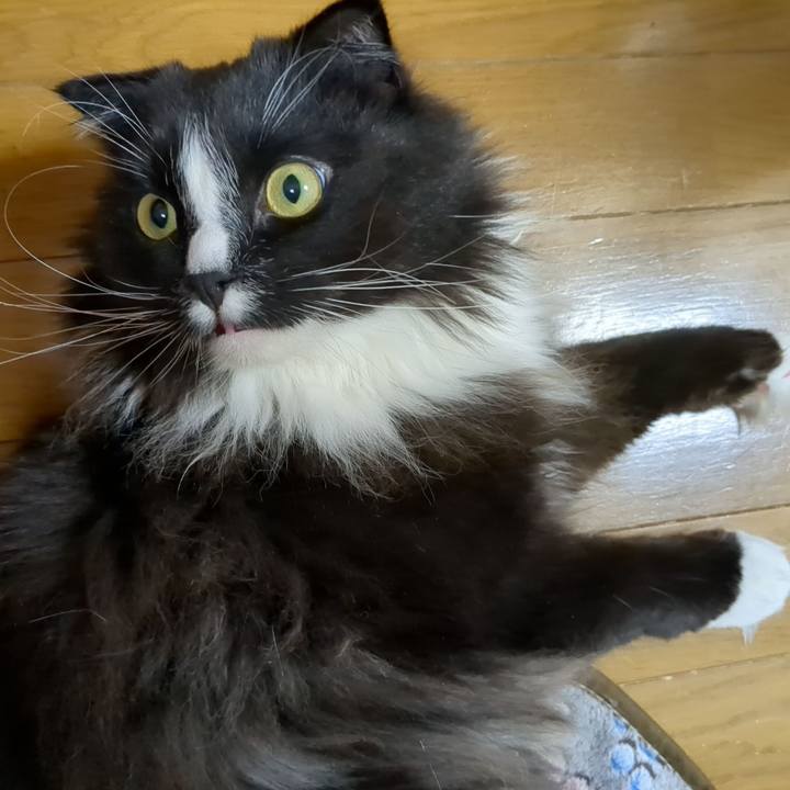 5968059e d9f5 4b16 8077 9b184aef9af1 1683029927966