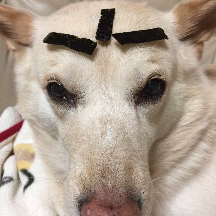 59681183 b481 408d 9667 4022bbf98412 1519612816020