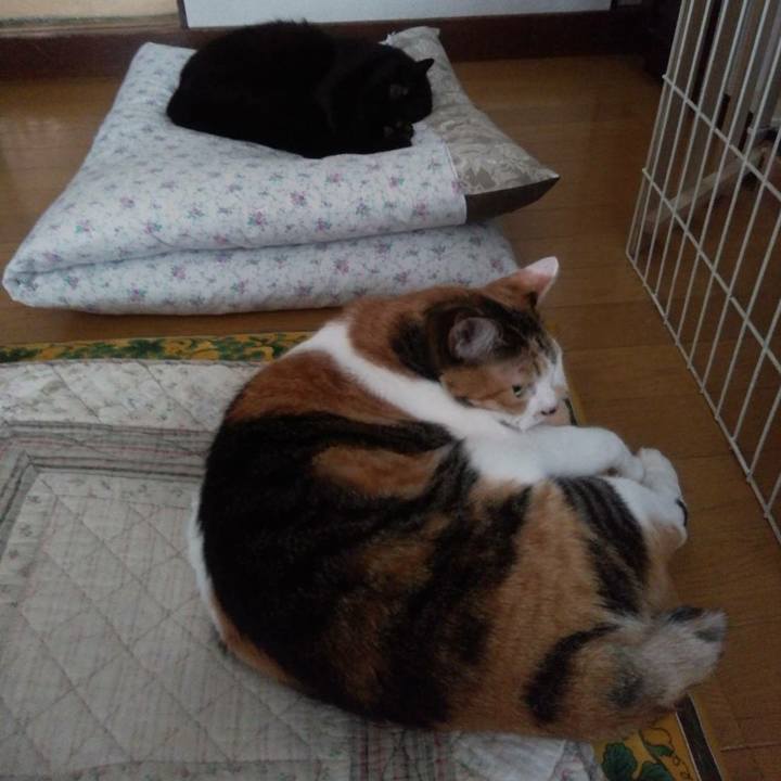 59681467 a2bb 4de4 a7f0 abea4c819c78 1603510938601