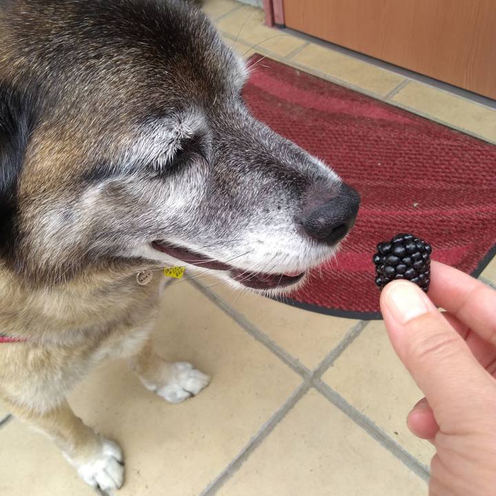 59688f85 4970 4081 baae aac101bfbf2d 1561421164039