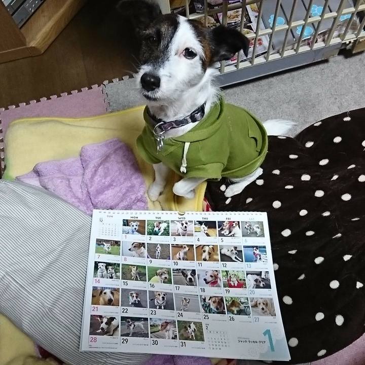 5968d291 f9f7 4111 a91c 4d36fcd58e2f 1512042671428