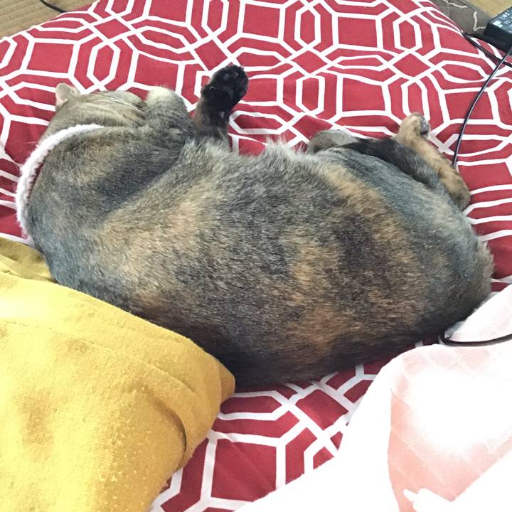 5968d672 0c76 4d30 ad0e 4ea533baff99 1610684659272