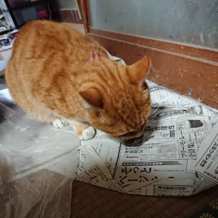 5968f4b3 0ea3 41e4 8a25 4ca0f17872a9 1600606019142