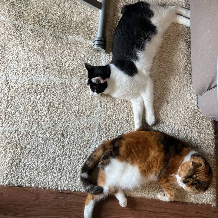 59690a46 01f6 429a 8334 e9b373c5c4e5 1655001246823