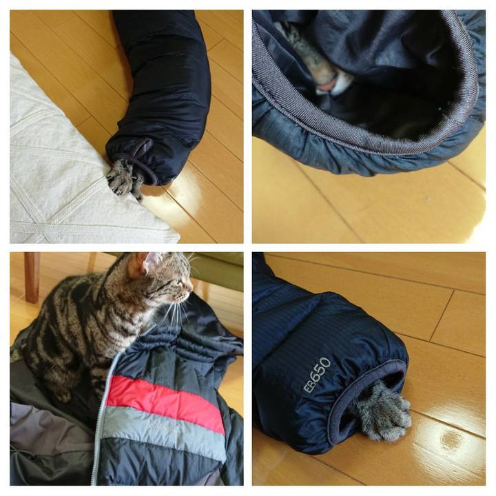 5969188b 39af 4669 9f63 36e23d73692f 1549764127967