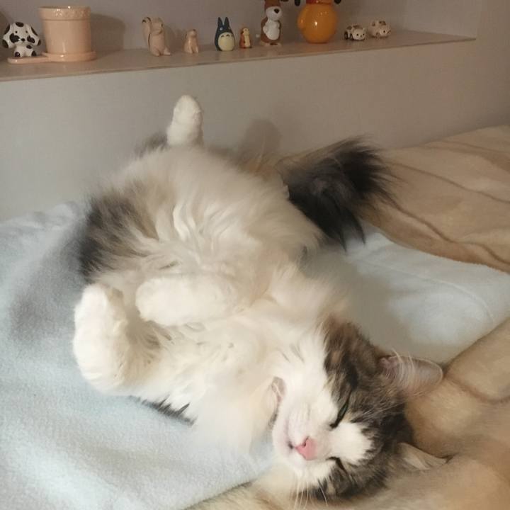 5969349d bf7a 442e b417 2b1cd8c2cac9 1527434721551