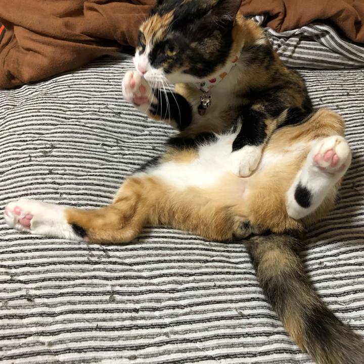 59697aa5 7ecc 4183 be64 c27feb5eba67 1559904822496