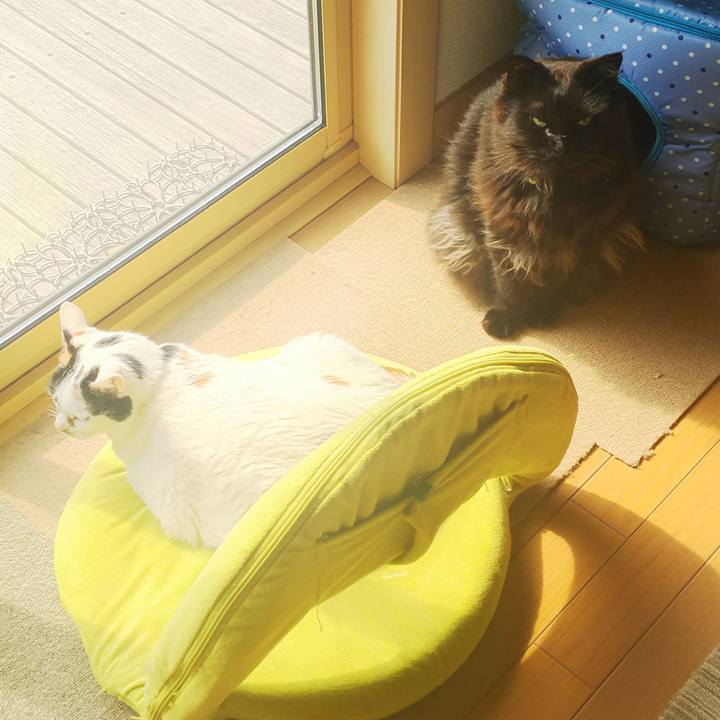 596985a5 b0f9 4133 9647 ee24e8fb5469 1521019344021