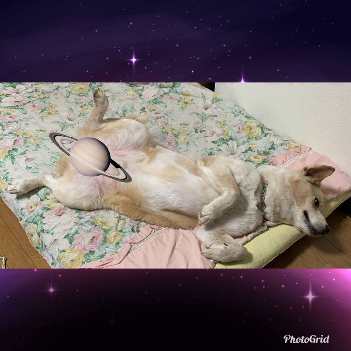 596997e8 3372 4431 872f 025b7f991e0d 1566657427165