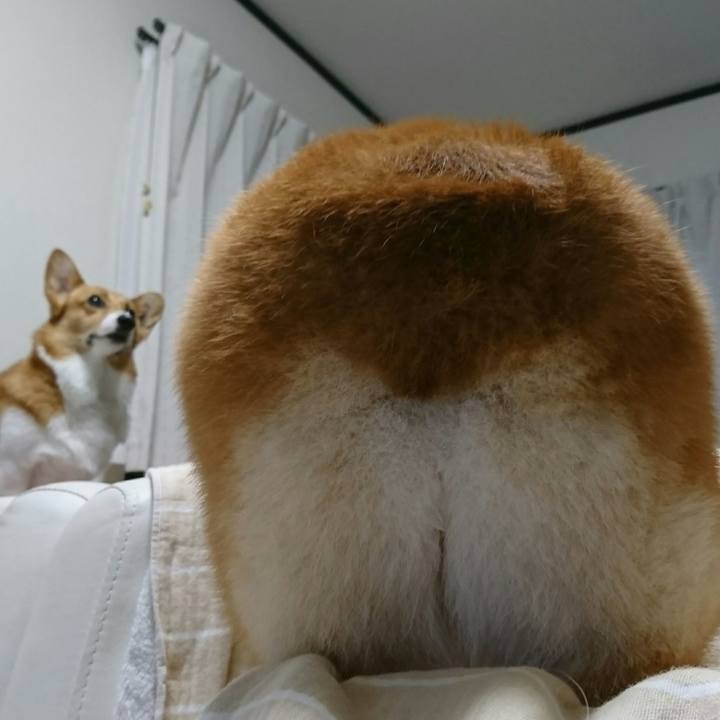 5969a544 c63f 4604 93d5 e6dd524b9102 1553160638304