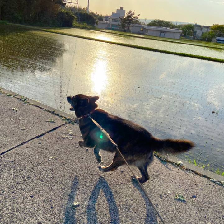 5969a68a 5115 4b81 a66f d9e60d7f8746 1589273550865