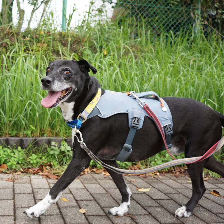 596a27c0 ba1c 443e 9872 3b31e45c5389 1758933650618