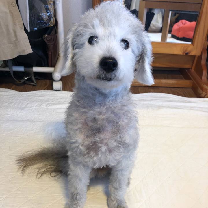 596a625c f0a3 43c0 b764 e1dade658322 1592353086379