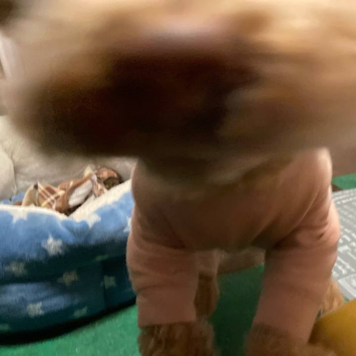 596a6bea 4ffd 4f84 8eb2 30f0403926ae 1671743846414