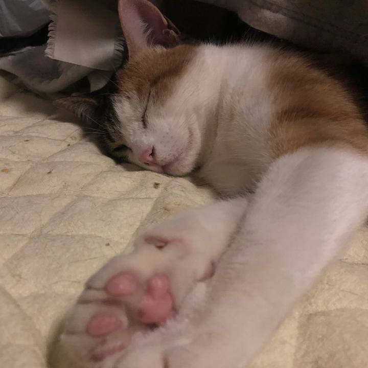 596a7c64 8c28 4c57 bc87 f0e1eefe0629 1582557305400