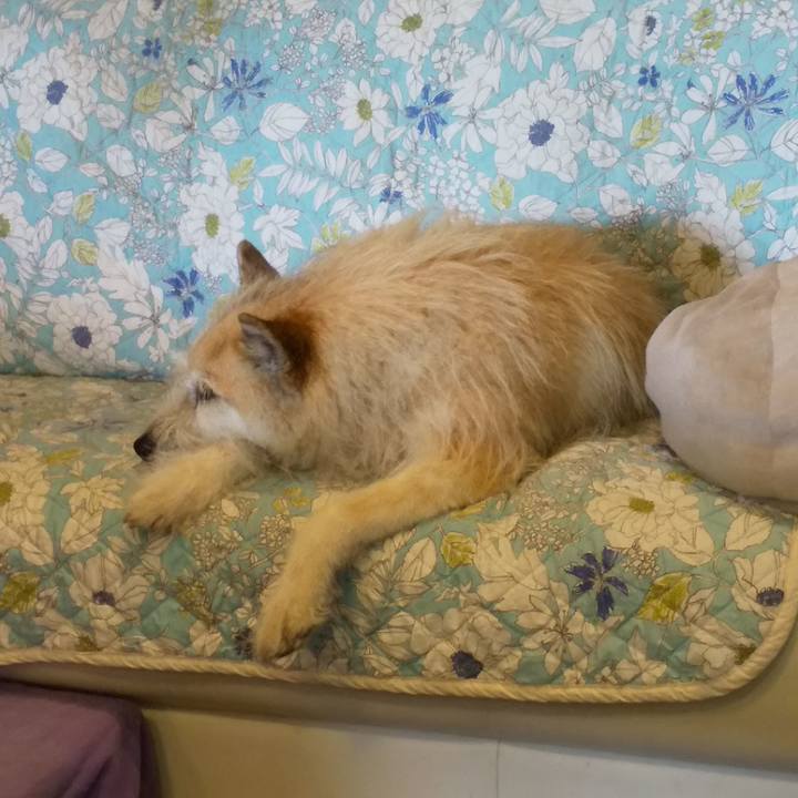 596a8612 d54b 4495 be91 afb09b9651f4 1558501026261