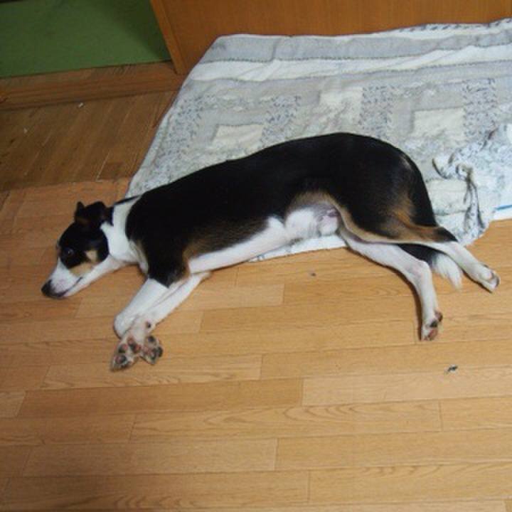 596aacd4 4d79 46f2 9f5c e3f1cd5590ad 1571991709253