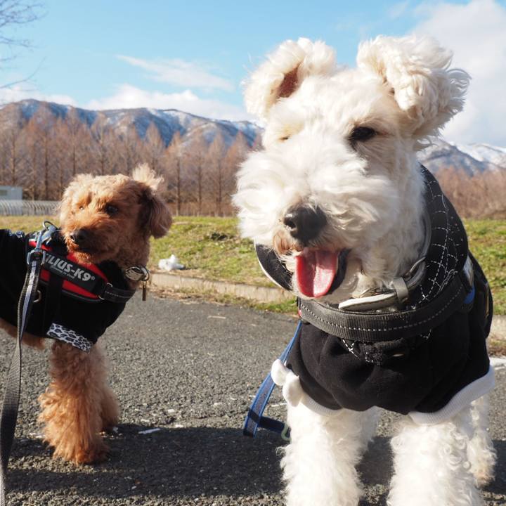 596ab9e6 80a0 477a b784 56ae91056440 1547863540456