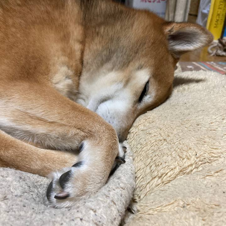 596abf9c cc72 4bfe 8344 d20a166c02e2 1639221810282