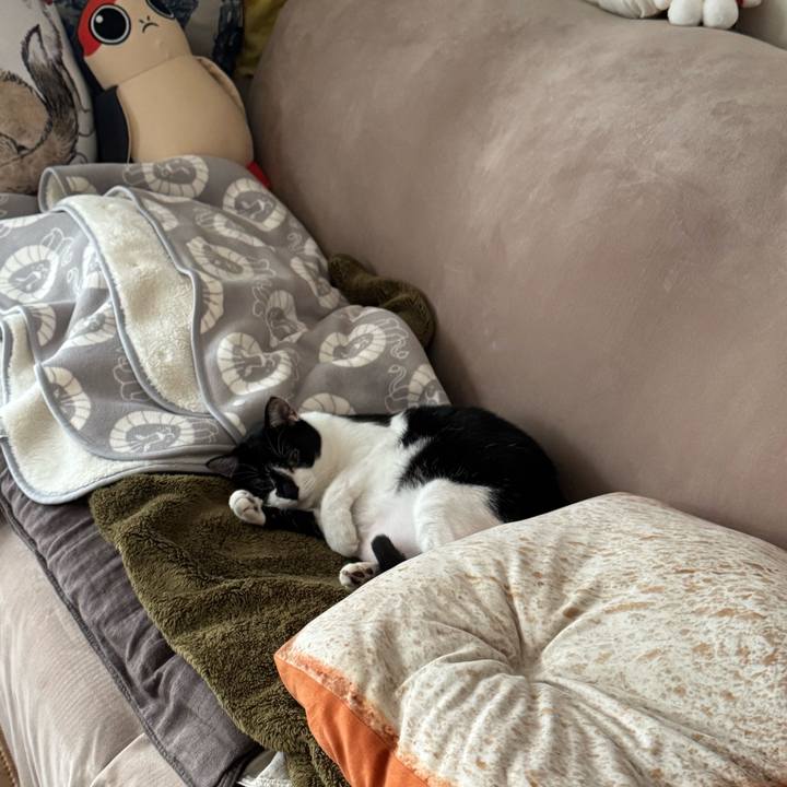 596adc25 e8b9 4f54 8e31 2fb06fd064e4 1759717612440