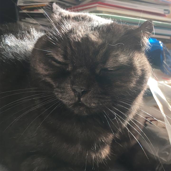 596af48d 4905 4a72 8510 8d5d3afd5771 1547865630641