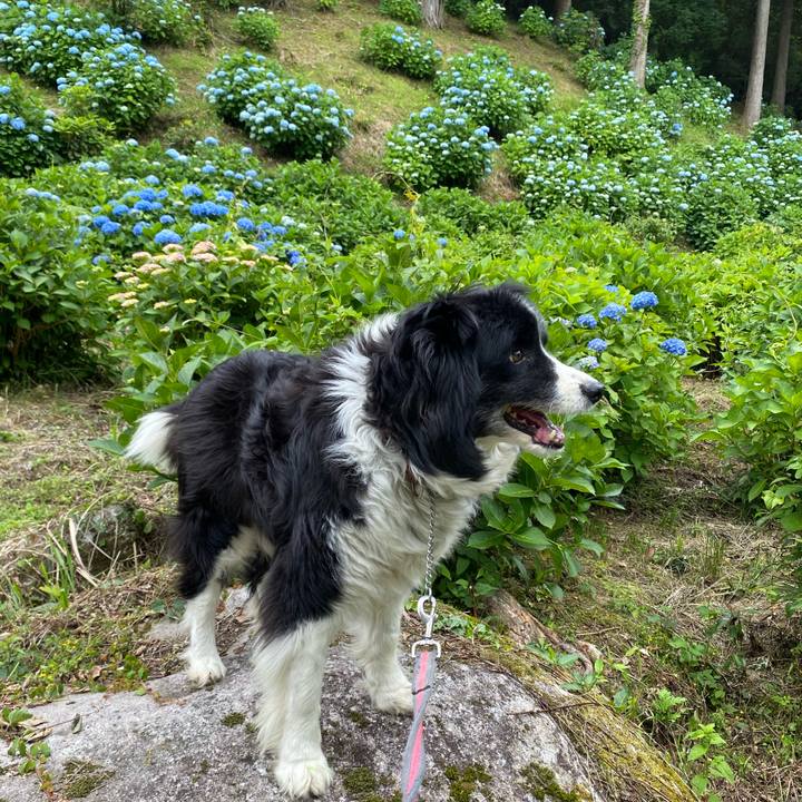 596afbd7 98f2 4d1b b43b f50c8e1f8f7b 1685954221076