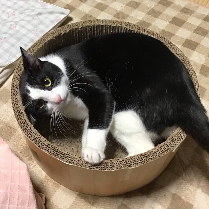 596b1266 c5cb 42ee bff3 99e965eb0e47 1731576244533