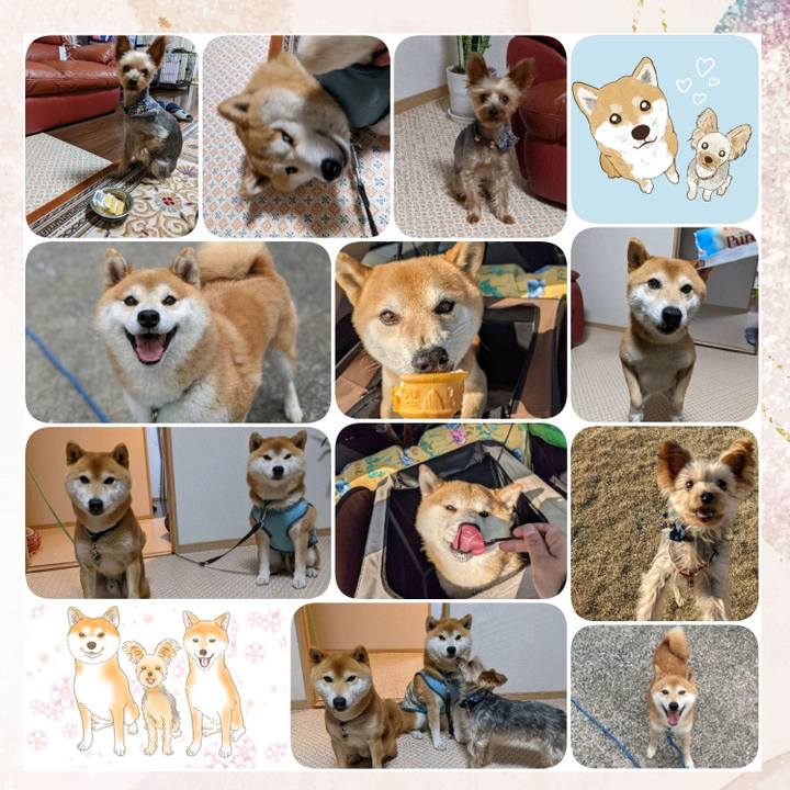 596b1b55 da85 48da 83a1 6f920d6be929 1640948907278