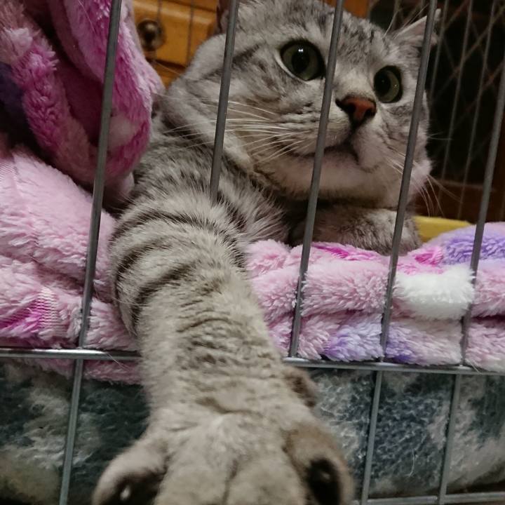 596b9b92 6e43 4bc6 981d b533d7ea049a 1551002481579