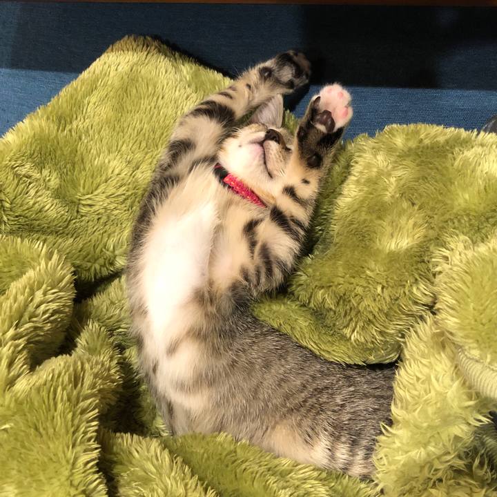 596bf4f7 7017 47f8 9aaa 99c481a49088 1545315110199