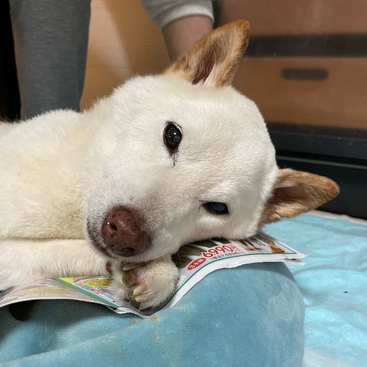 596c1186 7a5a 49b3 92ec 99bf4fce5f68 1650948070027