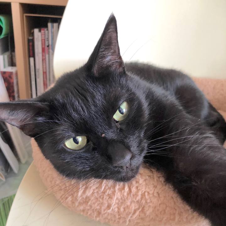 596c1b80 be4c 4eeb b7ab cdfd8f5e97bc 1566091218907