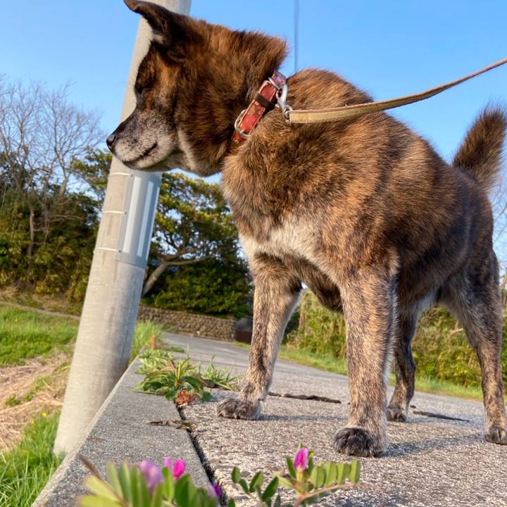 596c2cb3 8761 4703 816b 611ba6aa4305 1587805023710