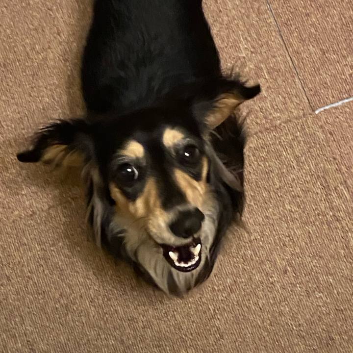 596c39f5 144e 48cf 98f5 12549912fcf5 1711498829470