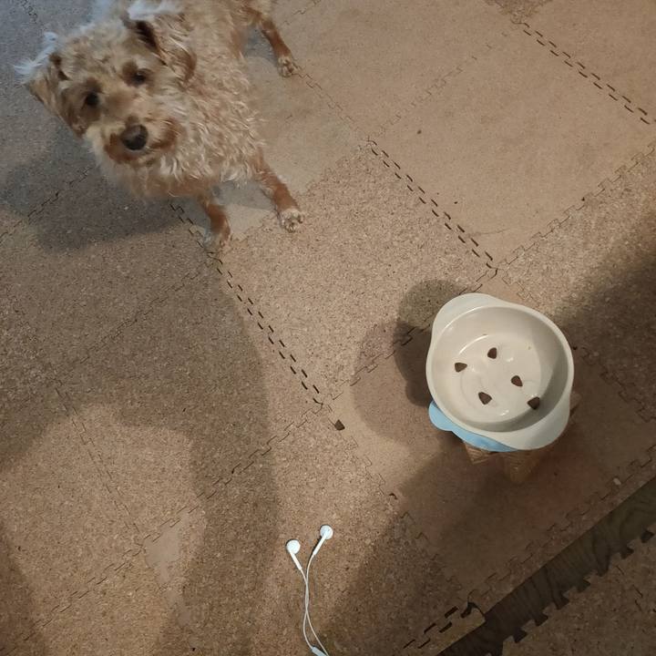 596c60e8 5eb4 4d06 9a53 225b2e526cd6 1598915043458