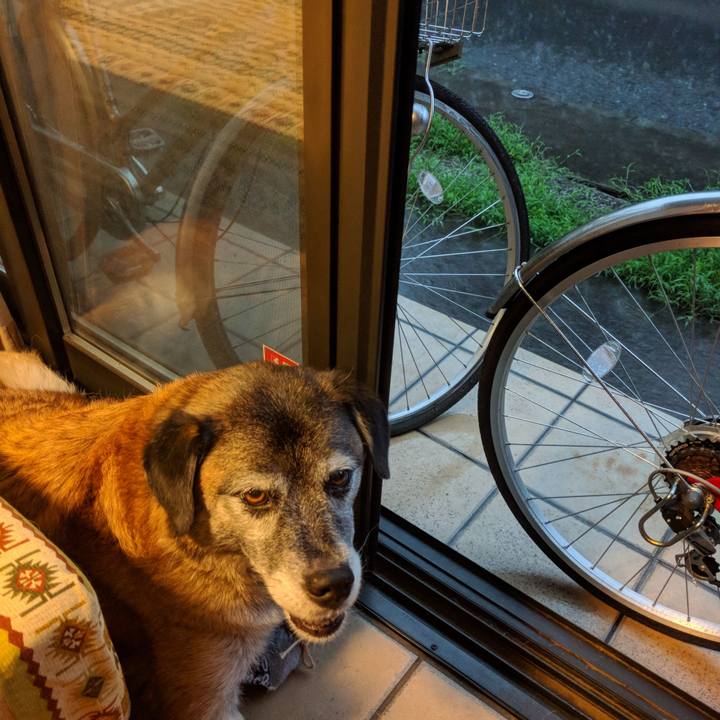 596c8efc 03db 4d98 b9eb f1284f955fab 1534140660115