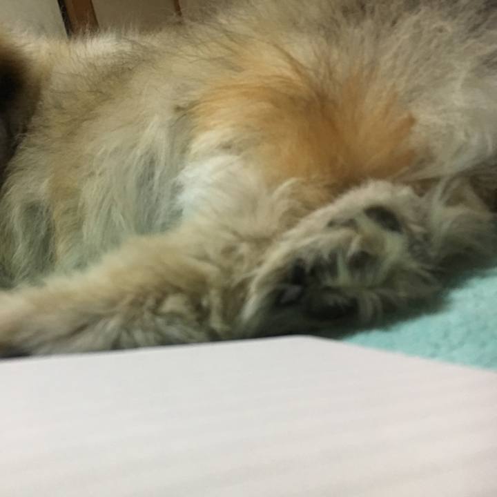 596c92b6 2025 431d a92b dc703ad69685 1612117222164