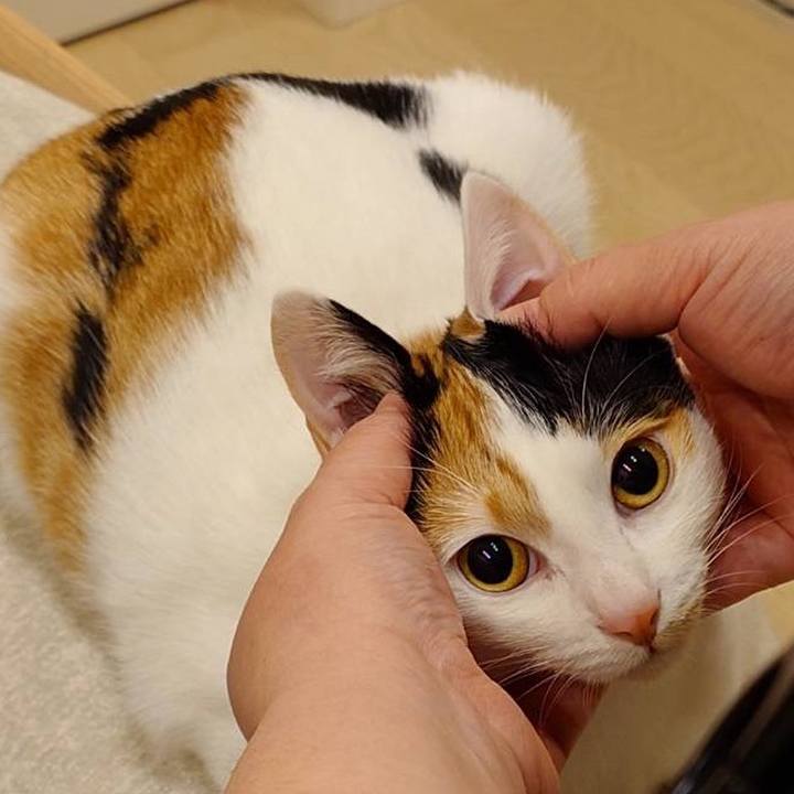 596c9f39 8d54 490a a23a 872ca5fa7c95 1771242786269