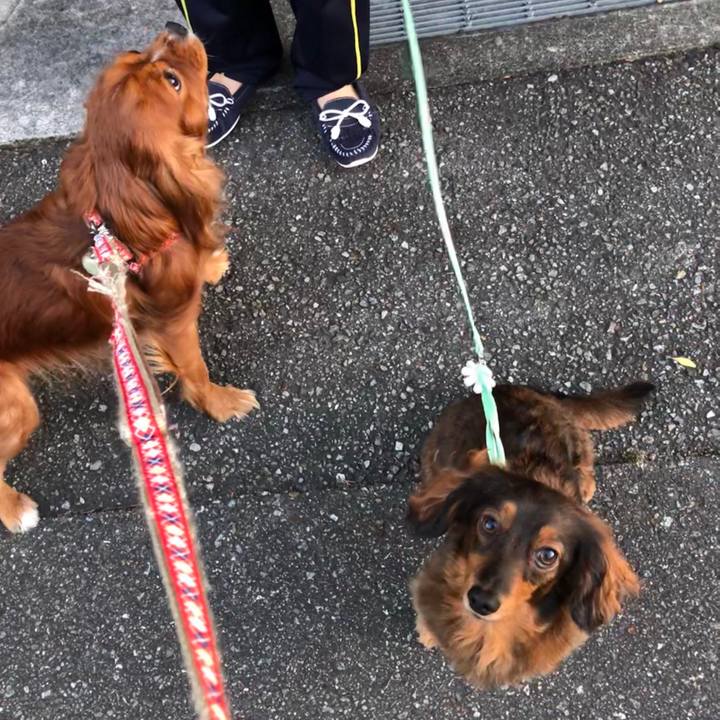 596cb076 55e6 4b86 a3e1 6d841ef7e61d 1575187660812