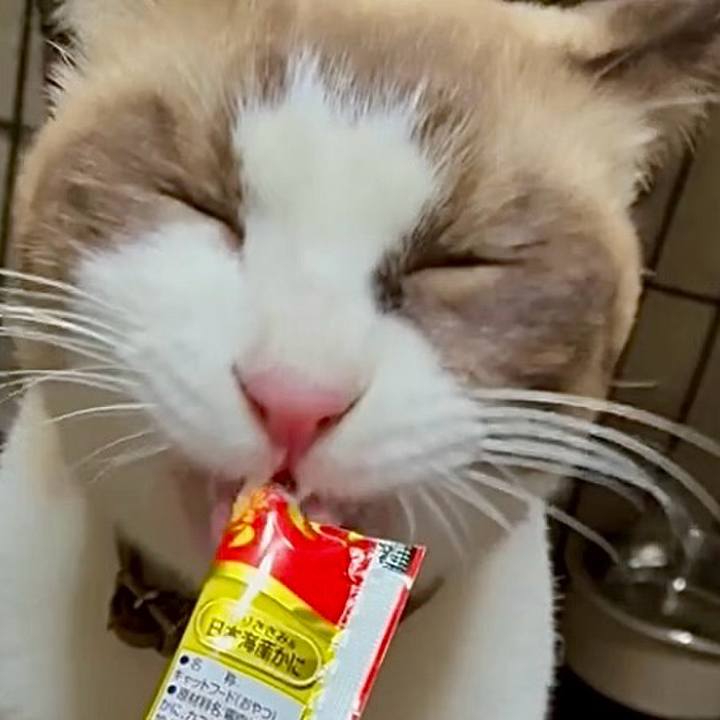 596d541e a02b 4721 91ab bdc255f64a82 1762511489948