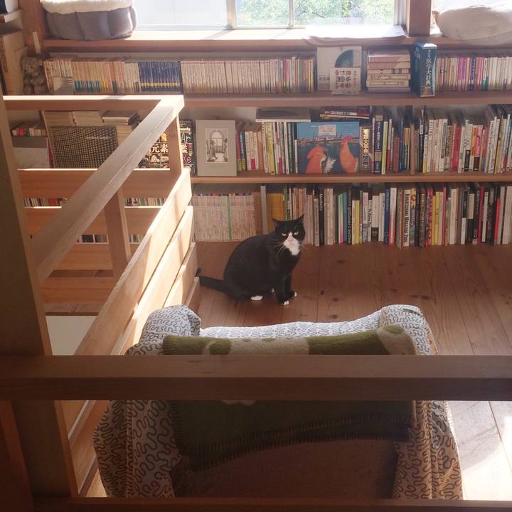 596d66ae 0f6f 44dc a3ea b79b76f73fb7 1522365073074