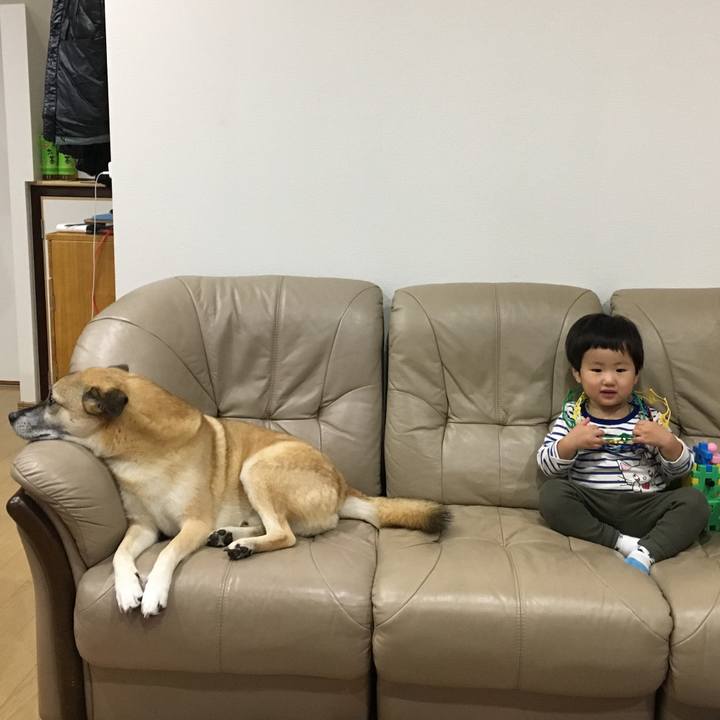 596d883f aa61 4305 bad5 160035b70aa2 1514553634392