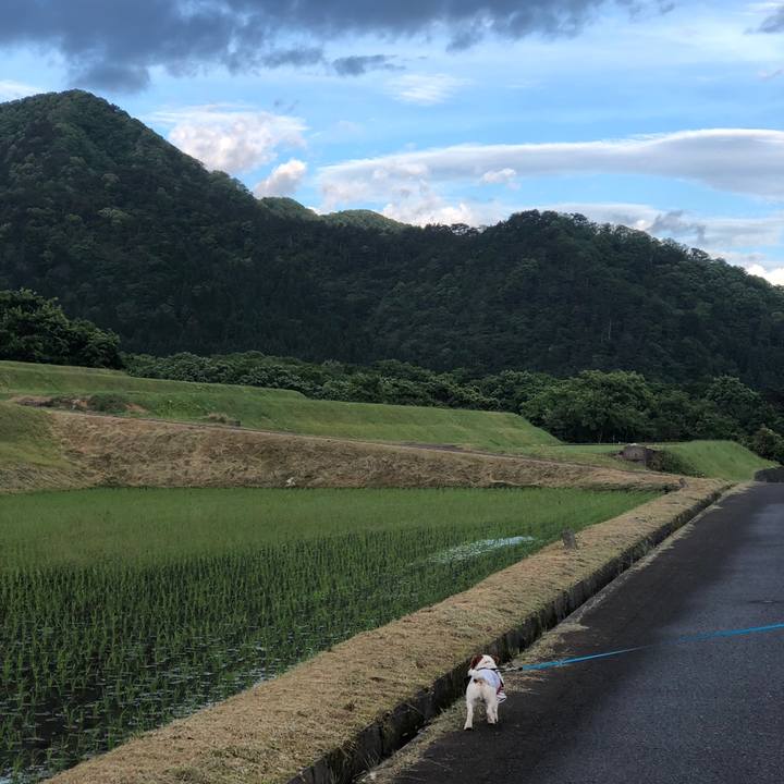 596d915e b07a 4375 91af fc3375974d23 1558338441331