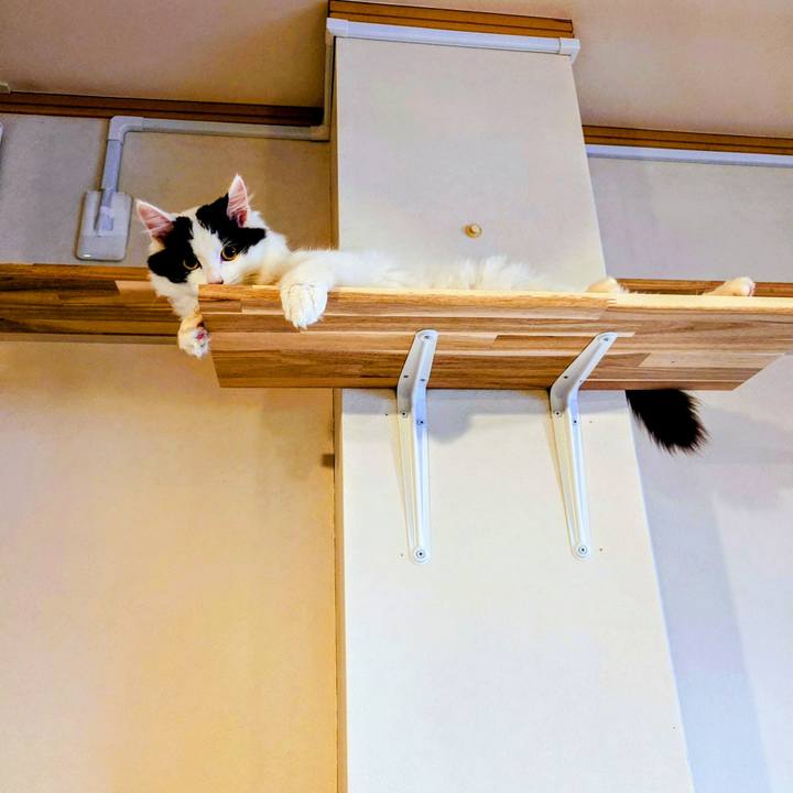 596dad96 52b6 4ed5 b7cc f94db090d126 1767271384916