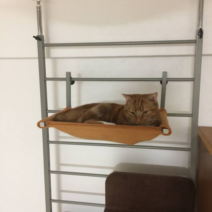 596dc62f 2229 4b96 b010 672680300796 1539561837723