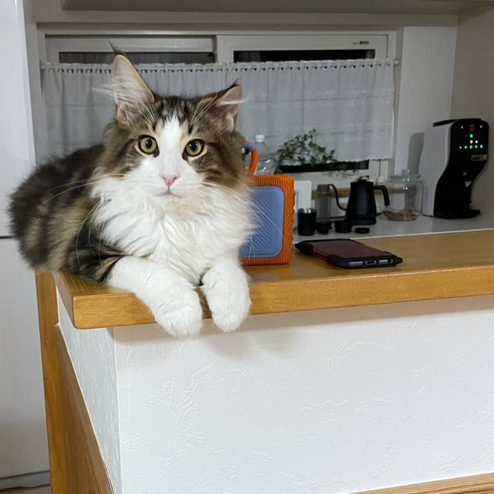 596dd429 25cc 4ae8 a397 7f04a5cf8866 1636401238641